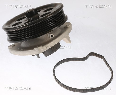Triscan Wasserpumpe [Hersteller-Nr. 860010087] für Opel, Vauxhall, Chevrolet