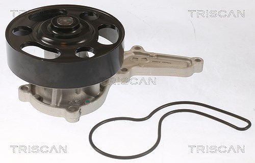 Triscan Wasserpumpe [Hersteller-Nr. 860040019] für Honda