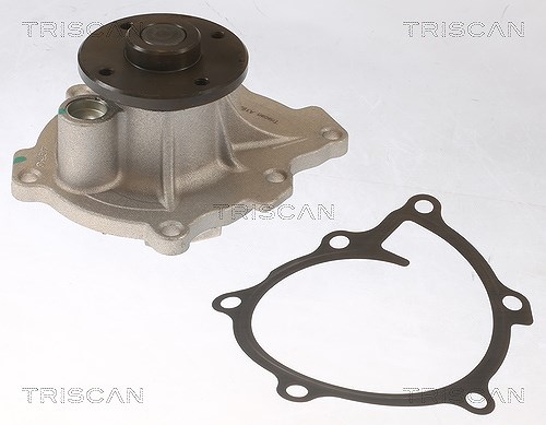 Triscan Wasserpumpe [Hersteller-Nr. 860042021] für Citroën, Mitsubishi, Peugeot