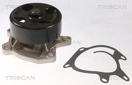 Triscan Wasserpumpe [Hersteller-Nr. 860025097] für Nissan