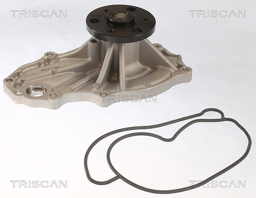 Triscan Wasserpumpe [Hersteller-Nr. 860040025] für Honda