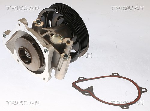 Triscan Wasserpumpe [Hersteller-Nr. 860016073] für Ford
