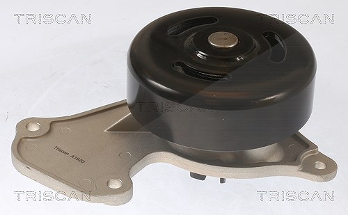 Triscan Wasserpumpe [Hersteller-Nr. 860025095] für Renault, Dacia