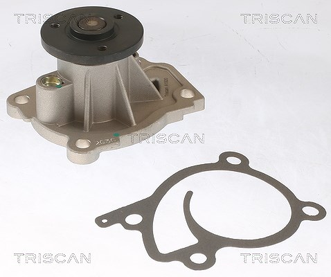 Triscan Wasserpumpe [Hersteller-Nr. 860025096] für Dacia, Renault