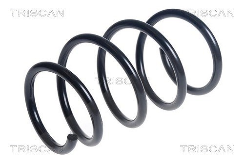 Triscan Fahrwerksfeder [Hersteller-Nr. 875025145] für Renault