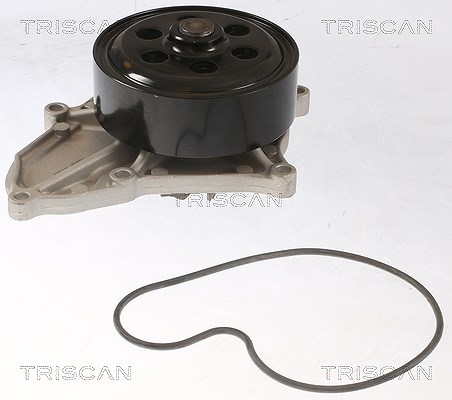 Triscan Wasserpumpe [Hersteller-Nr. 860040018] für Honda