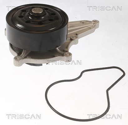 Triscan Wasserpumpe [Hersteller-Nr. 860040021] für Honda