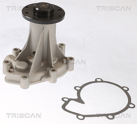 Triscan Wasserpumpe [Hersteller-Nr. 860023091] für Ssangyong