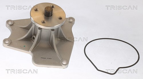 Triscan Wasserpumpe [Hersteller-Nr. 860042024] für Mitsubishi