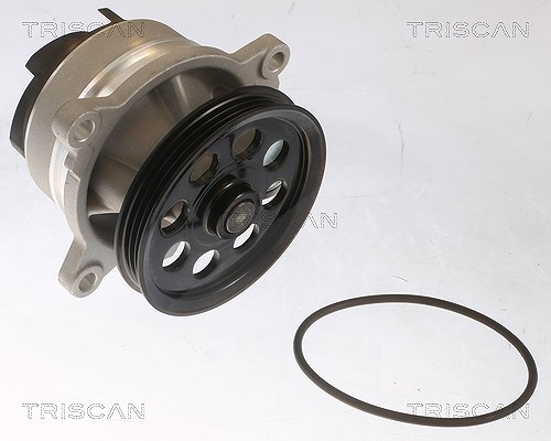 Triscan Wasserpumpe [Hersteller-Nr. 860016076] für Ford, Ford Usa