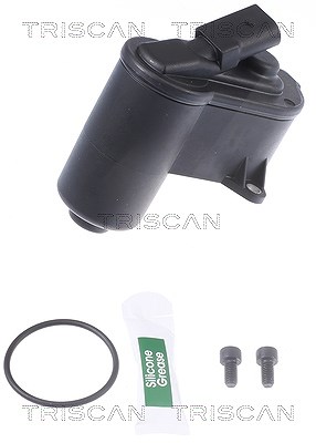 Triscan Stellelement, Feststellbremse Bremssattel [Hersteller-Nr. 8170208024] für Seat, VW, Audi