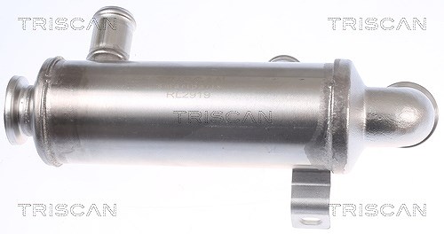 Triscan Kühler, Abgasrückführung [Hersteller-Nr. 881310111] für Ford, Citroën, Peugeot