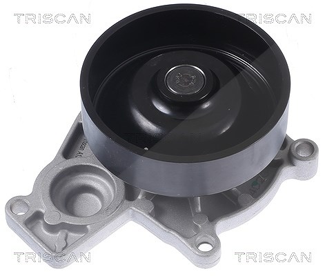 Triscan Wasserpumpe [Hersteller-Nr. 860011050] für Mini