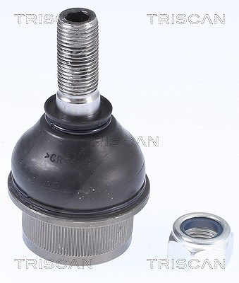 Triscan Trag-/Führungsgelenk [Hersteller-Nr. 850015598] für Iveco