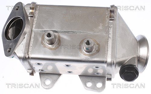 Triscan Kühler, Abgasrückführung [Hersteller-Nr. 881310113] für Alfa Romeo, Fiat, Vauxhall, Opel
