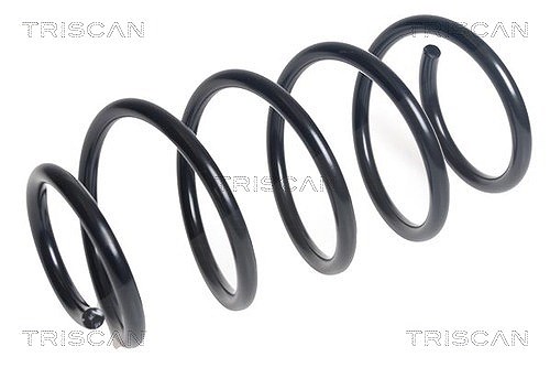 Triscan Fahrwerksfeder [Hersteller-Nr. 875016167] für Ford