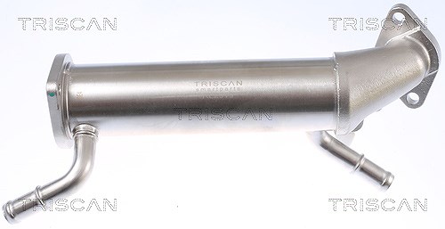 Triscan Kühler, Abgasrückführung [Hersteller-Nr. 881310112] für Peugeot, Ford, Citroën, Fiat