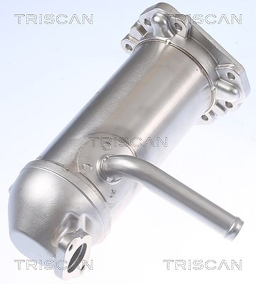Triscan AGR-Ventil [Hersteller-Nr. 881316114] für Ford