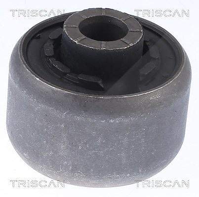 Triscan Lagerung, Lenker [Hersteller-Nr. 850016877] für Ford