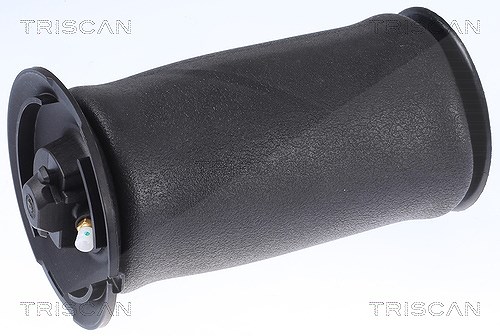 Triscan Luftfeder, Fahrwerk [Hersteller-Nr. 872011202] für BMW