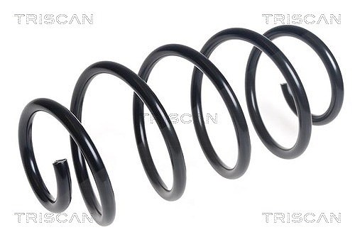 Triscan Fahrwerksfeder [Hersteller-Nr. 875016147] für Ford