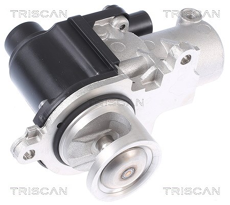 Triscan AGR-Ventil [Hersteller-Nr. 881329338] für VW, Porsche, Audi