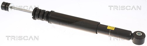 Triscan Stoßdämpfer [Hersteller-Nr. 870525201] für Renault