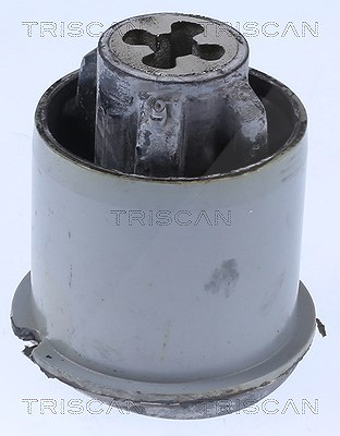 Triscan Lagerung, Achskörper [Hersteller-Nr. 850025876] für Renault