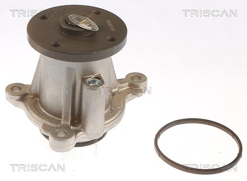 Triscan Wasserpumpe [Hersteller-Nr. 860043026] für Hyundai, Kia