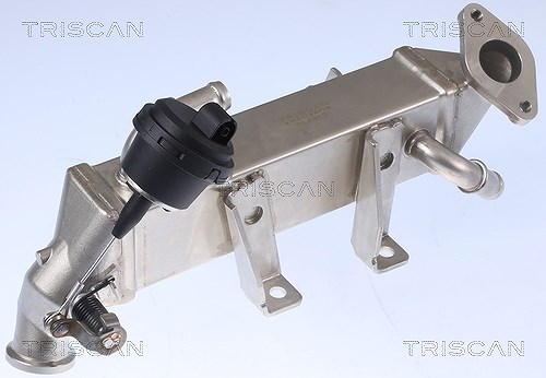 Triscan Kühler, Abgasrückführung [Hersteller-Nr. 881325104] für Renault, Vauxhall, Opel