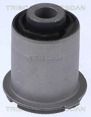 Triscan Lagerung, Lenker [Hersteller-Nr. 850043838] für Kia, Hyundai