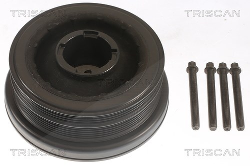 Triscan Riemenscheibe, Kurbelwelle [Hersteller-Nr. 864311008A] für BMW