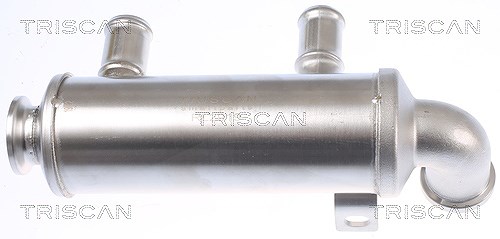 Triscan Kühler, Abgasrückführung [Hersteller-Nr. 881310110] für Citroën, Fiat, Ford, Peugeot