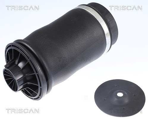 Triscan Luftfeder, Fahrwerk [Hersteller-Nr. 872023204] für Mercedes-Benz