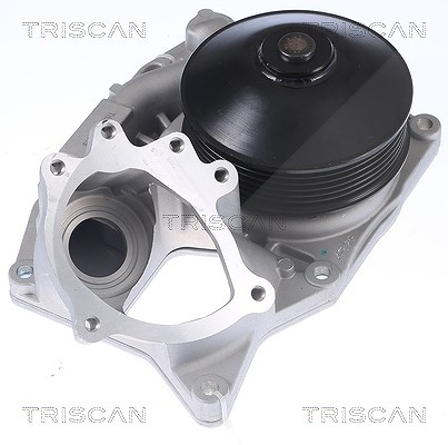 Triscan Wasserpumpe [Hersteller-Nr. 860011051] für BMW