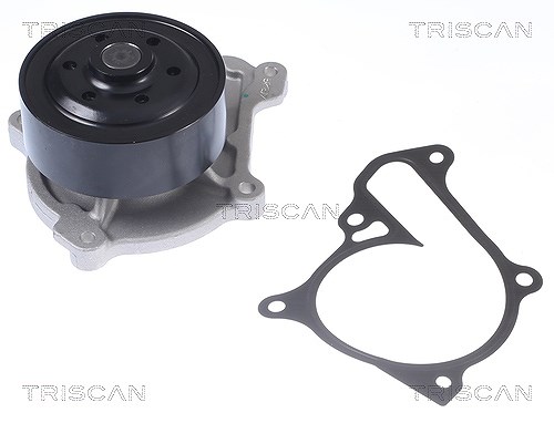 Triscan Wasserpumpe [Hersteller-Nr. 860050013] für Mazda