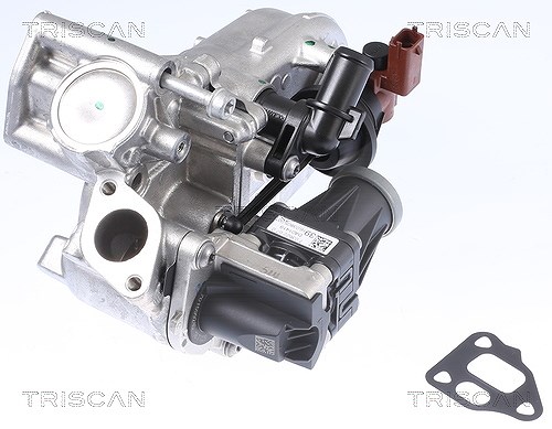 Triscan AGR-Ventil [Hersteller-Nr. 881310108] für Chrysler, Opel, Chevrolet, Vauxhall, Fiat