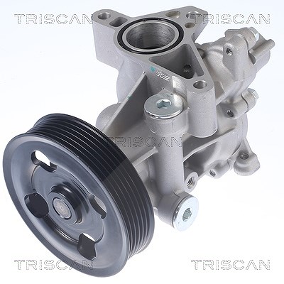 Triscan Wasserpumpe [Hersteller-Nr. 860069012] für Suzuki
