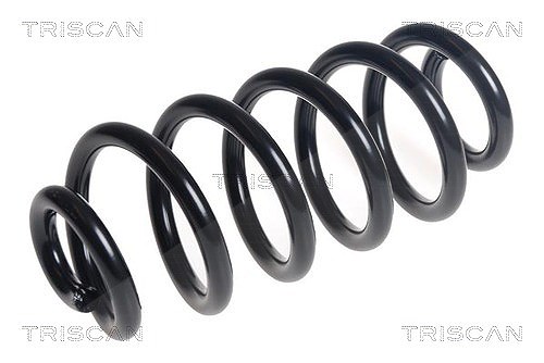 Triscan Fahrwerksfeder [Hersteller-Nr. 875014130] für Nissan