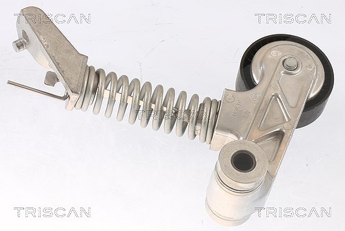 Triscan Riemenspanner, Keilrippenriemen [Hersteller-Nr. 8641233031] für Mercedes-Benz