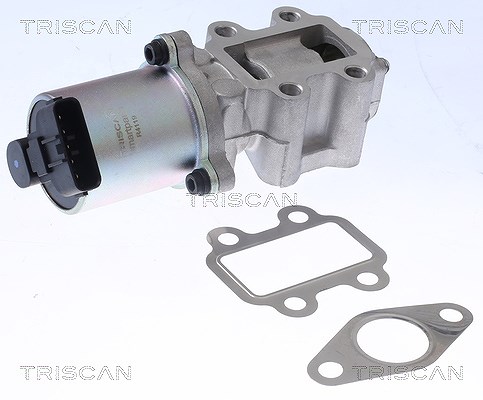 Triscan AGR-Ventil [Hersteller-Nr. 881313100] für Toyota