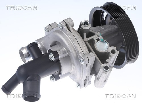 Triscan Wasserpumpe [Hersteller-Nr. 860016071] für Ford