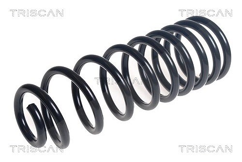 Triscan Fahrwerksfeder [Hersteller-Nr. 875016163] für Ford