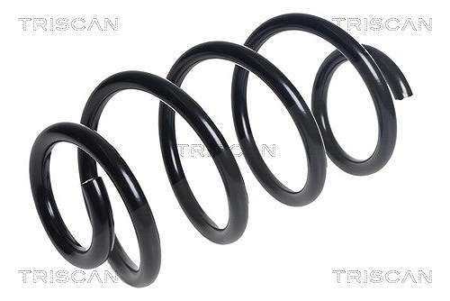 Triscan Fahrwerksfeder [Hersteller-Nr. 875016157] für Ford