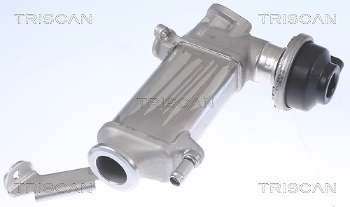 Triscan Kühler, Abgasrückführung [Hersteller-Nr. 881329346] für Audi