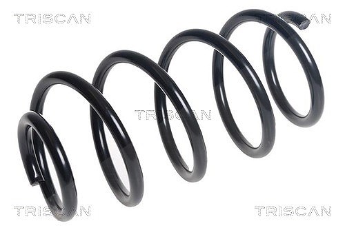 Triscan Fahrwerksfeder [Hersteller-Nr. 875016138] für Ford