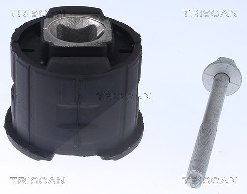 Triscan Lagerung, Achskörper [Hersteller-Nr. 8500118022] für BMW