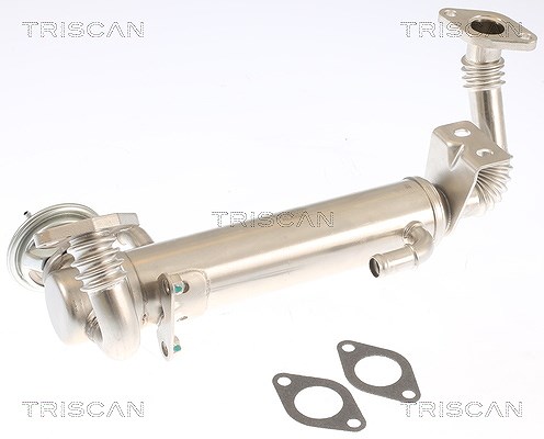 Triscan AGR-Ventil [Hersteller-Nr. 881315074] für Iveco