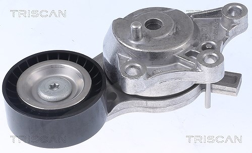 Triscan Spannarm, Keilrippenriemen [Hersteller-Nr. 8641103054] für Ds, Citroën, Peugeot