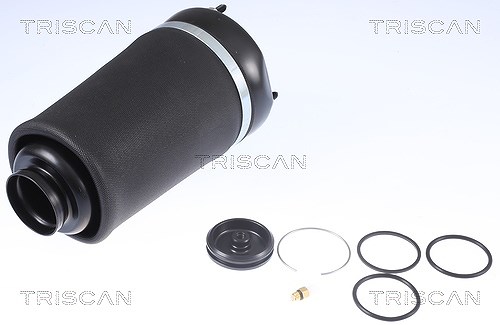 Triscan Luftfeder, Fahrwerk [Hersteller-Nr. 872023101] für Mercedes-Benz